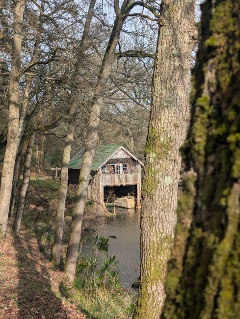 A wooden boathouse situated beside a small body of water, viewed through a thin line of trees with rough bark and patches of green moss. The boathouse features a weathered wooden exterior with vertical planks, a slightly sloped roof painted in a faded green, and windows with multiple panes. The structure appears to be aged, blending naturally into the surrounding woodland environment. The scene is set in a peaceful, wooded area with leafless trees indicating late autumn or early winter, allowing partial sunlight to filter through the branches. The water in front of the boathouse is calm, reflecting the trees and the building's lower section. The ground is covered in a mixture of soil, fallen leaves, and sparse grass. The area suggests an off-grid or privately accessed site, consistent with independent waste management or on-site clearance services, with a subtle hint toward the context of rubbish removal or property upkeep by professional waste removal services such as Waste Removal Surrey.